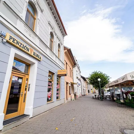 Guest house Kiska 3*